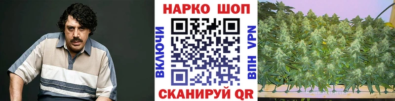 Конопля Вяземский