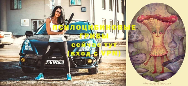 гашик Каменск-Шахтинский
