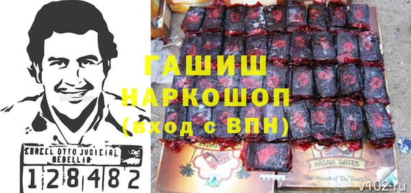 стаф Касимов