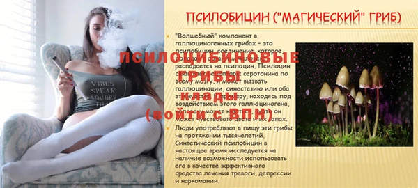 альфа пвп Карпинск