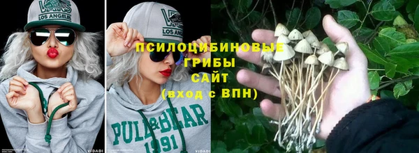 гашик Каменск-Шахтинский