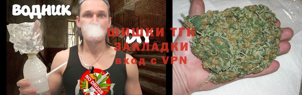 стаф Касимов