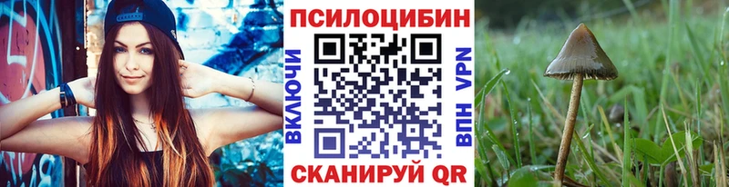 Галлюциногенные грибы ЛСД  Купить закладки  Вяземский 