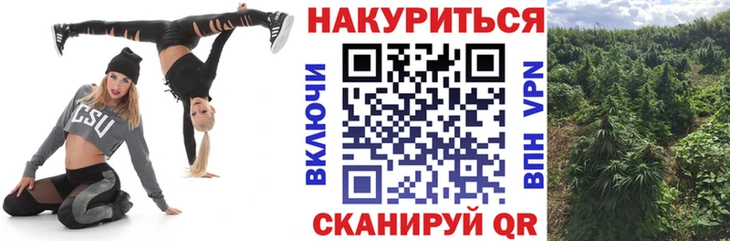 Купить где  Вяземский  МАРИХУАНА семена 